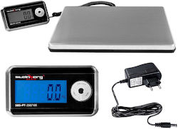 Steinberg Systems Platform Scale