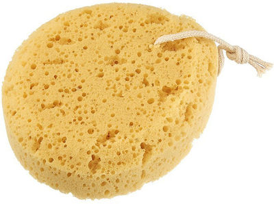 Niobe Professional Natural Bath Sponge Beige