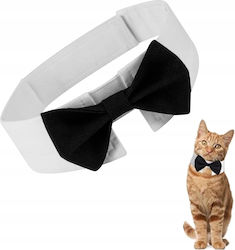 Cat Collar Black