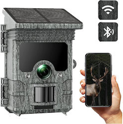 WildcameraXL Wildcameraxl WildcameraXL Wildcameraxl