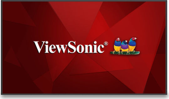 Viewsonic CDE5530 Public Display LCD VA 4K UHD 55"