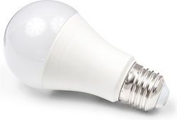 Eco Light LED Bulb 15W for Socket E27 Warm White Eco Light LED Bulb 15W for Socket E27 Warm White