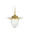 Andromeda Outdoor Hanging Ceiling Light in Bronze Color A55-698