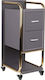 Activeshop Hair Salon Maintenance Cart with 2 Drawers