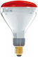 Bec de tip special 250W pentru dulie E27
