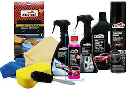 Feral Cleaning and Polishing Set for Car Body with Cherry Perfume 500ml