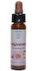 Crystal Herbs Συγχώρεση (forgiveness) Ανθοΐαμα 10ml 1τμχ