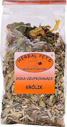 Herbal Pets Τροφή για Τρωκτικό 100gr Herbal Pets Τροφή για Τρωκτικό 100gr