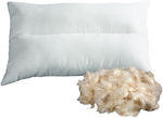 Sleep Pillow 50x70cm