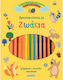 Colorful Activities 1 Animals