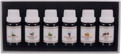 Ulei Parfumat Ulei Parfumat 10ml