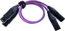 Melodika Md2x50 Kabel 2xxlr 2xxlr Purple Rain 5m