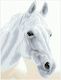 Diamond Dotz Arabische Schönheit Blister 31x41cm Quadrate