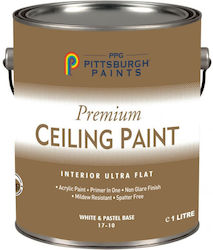 PPG Plastic Acrilyc Paint for Interior Use White 980ml