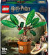 LEGO Harry Potter Mandrake for 10+ Years 579 Pieces