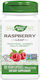 Nature's Way Raspberry Leaf 480мг 100 вегетариански капсули