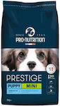 3kg_pro-nutrition Prestige Puppy Mini - 3 kg Pro-nutrition Prestige Puppy Mini