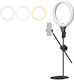 Ulanzi Ring Light 81cm