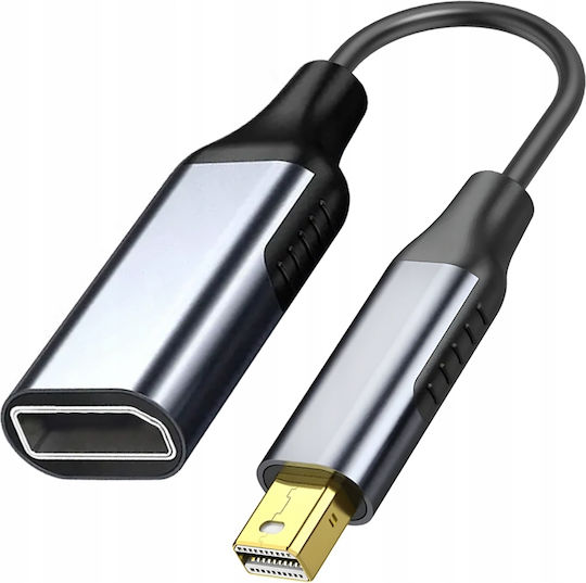 Mini-DisplayPort Männlich Zu DisplayPort Weiblich Grau 1 Stück