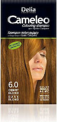 Delia Cosmetics Cameleo Βαφή Μαλλιών Χωρίς Αμμω...