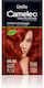 Delia Cosmetics Cameleo Hair Dye no Ammonia Wil...