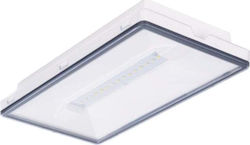 Hinge Exit LED Emergency Light