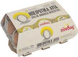Eggs 5202639012378