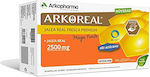 Arkopharma Arkoreal Vitamin für Energie, Stärkung des Immunsystems & die Haare 2500mg 20Stück