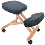 Wheeled Stool Black