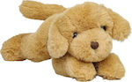 Plush Dog Molli 28 cm