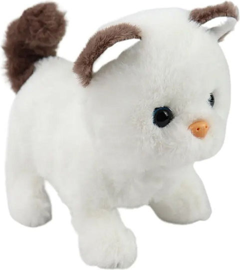 Pisicuță de pluș 9 cm. (Diverse modele) 1 buc