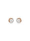 Swarovski Dextera Earrings Gold Plated with Stones