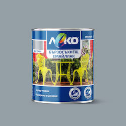Leko Αντιδιαβρωτικό 0.65lt Γκρι Γυαλιστερό