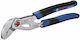 Bosch Γκαζοτανάλια 250mm