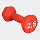 MotivationPro Gantera 1 x 2.5kg
