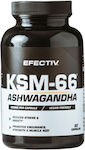Efectiv Nutrition Ksm-66 Ashwagandha 600 Mg 60 Κάψουλες