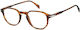 David Beckham Plastic Eyeglass Frame Brown DB 1...