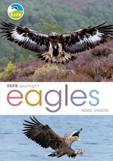 Rspb Spotlight: Eagles Rspb Spotlight: Eagles
