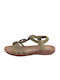 Amarpies Women's Flat Sandals in Khaki Color