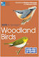 Rspb Id Spotlight