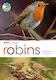 Rspb Spotlight: Robins