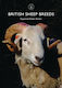 British Sheep Breeds