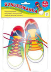 Game Laces Educational Game Knowledge