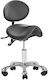 Salon Stools Wheeled Stool with Backrest Black