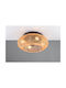 Trio Lighting Ceiling Light with Socket E27