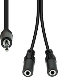 ProXtend 3.5mm male-2x 3.5mm female 0.2m M32XM2F-002 ProXtend 3.5mm male-2x 3.5mm female 0.2m M32XM2F-002
