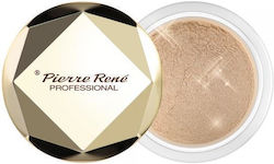 Pierre Rene Royal Dust Loose Highlighter 02 3.5g
