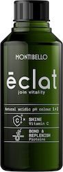 Montibello Eclat Προσωρινή Βαφή Μαλλιών 9.60 60ml