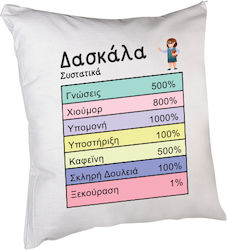 Teacher Ingredients Pillow 20cm