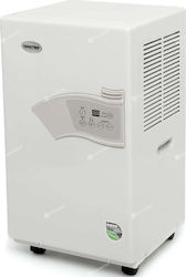 Master DH 720P Master DH 720P
